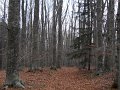DSCN4401
