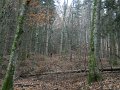 DSCN4404