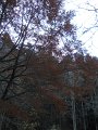 DSCN4427