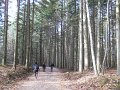 DSCN4439