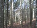 DSCN4442