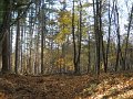 DSCN4448