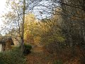 DSCN4453