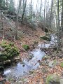 DSCN4514