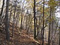 DSCN4527