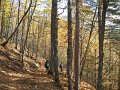 DSCN4531