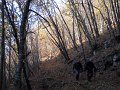 DSCN4532