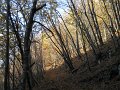 DSCN4533