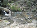 DSCN4540