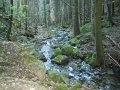 DSCN4543