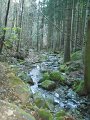 DSCN4544