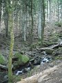 DSCN4545