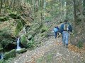 DSCN4548