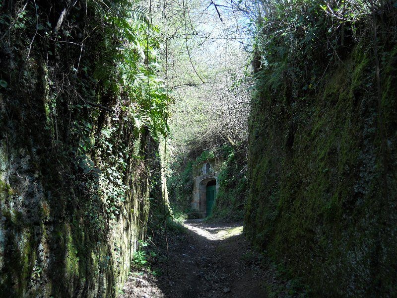DSCN0540.JPG