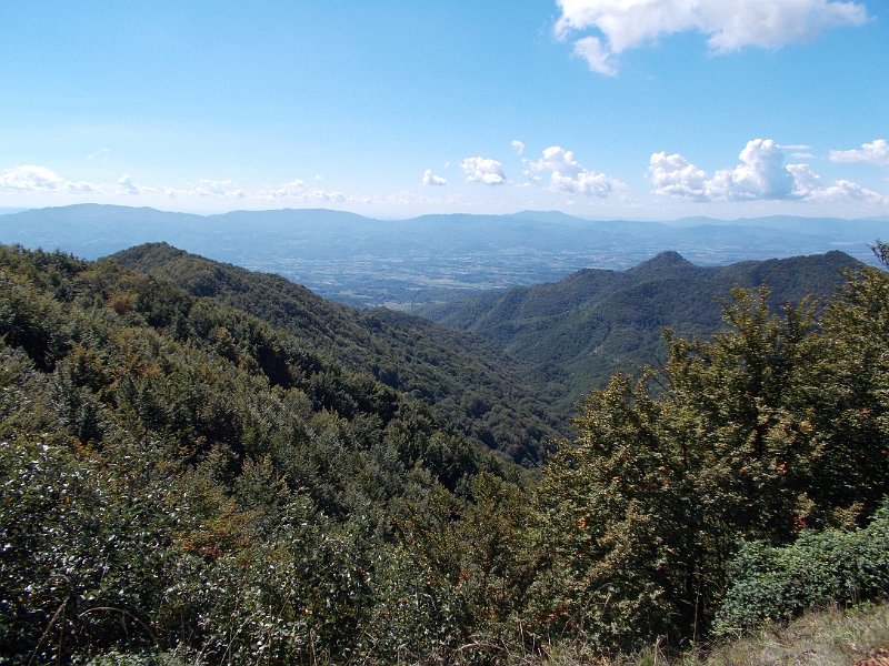 DSCN3766.JPG