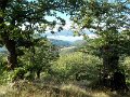DSCN3740