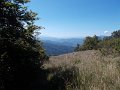 DSCN3755