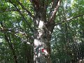 DSCN3760