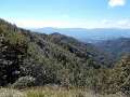 DSCN3774