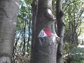 DSCN3782