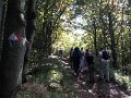 DSCN3783