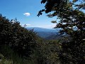DSCN3795