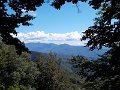 DSCN3797