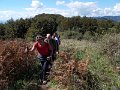 DSCN3800