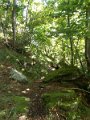 DSCN3815