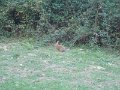 DSCN3843