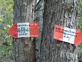 DSCN8457