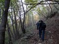 DSCN8458