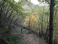 DSCN8459