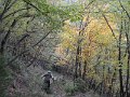 DSCN8461
