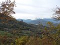 DSCN8462