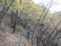 DSCN8467