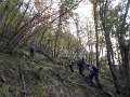 DSCN8480