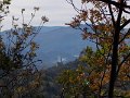 DSCN8501