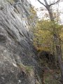 DSCN8519