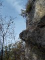 DSCN8531
