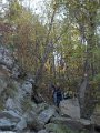 DSCN8536