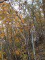 DSCN8551