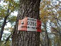 DSCN8556