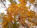 DSCN8562