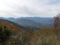 DSCN8602