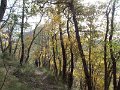 DSCN8629