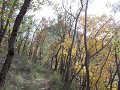 DSCN8630