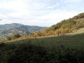 DSCN8666