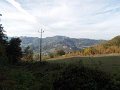 DSCN8667