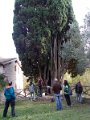 DSCN8718